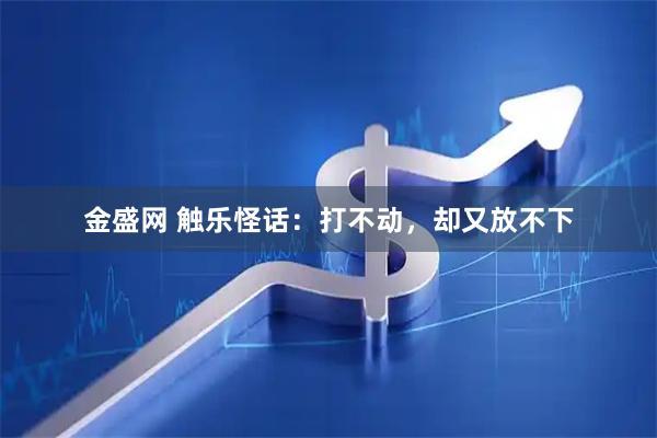 金盛网 触乐怪话：打不动，却又放不下